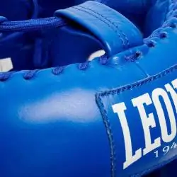 Casco professionale in pelle - Blu - Leone 1947