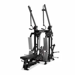 Combo Lat Pulldown/Pulley Row Diamond Professional Serie 300