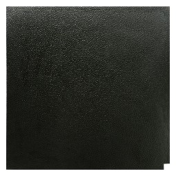 TATAMI GYM EVA 2cm
