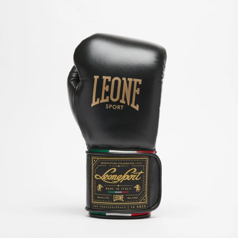 Guantoni Boxe Orlando tricolore Velcro – Leone Sport