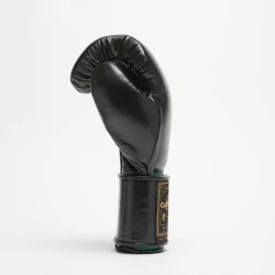 Guantoni Boxe Orlando tricolore Velcro – Leone Sport