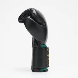 Guantoni Boxe Orlando tricolore Velcro – Leone Sport