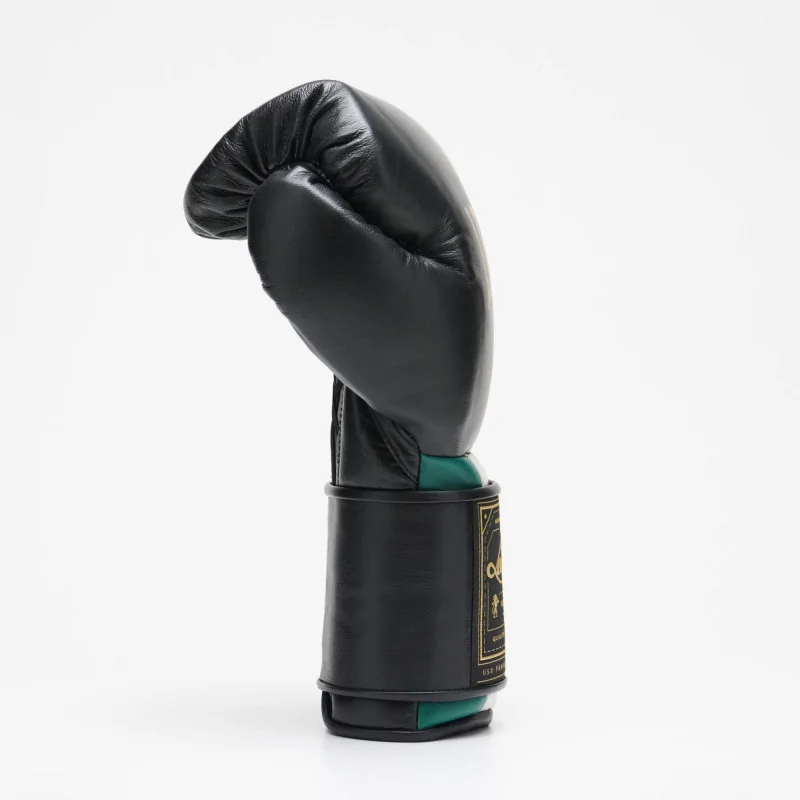 Guantoni Boxe Orlando tricolore Velcro – Leone Sport