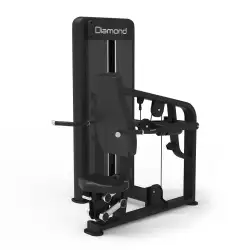 Triceps Dip Professionale Diamond Serie 550