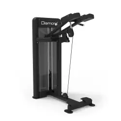 Standing Calf Professionale Diamond Serie 550