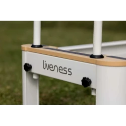 Reformer Pilates Professionale Liveness PTX7000