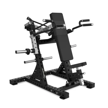 Scissor Shoulder Lateral Rise Diamond Professional Serie Rigs
