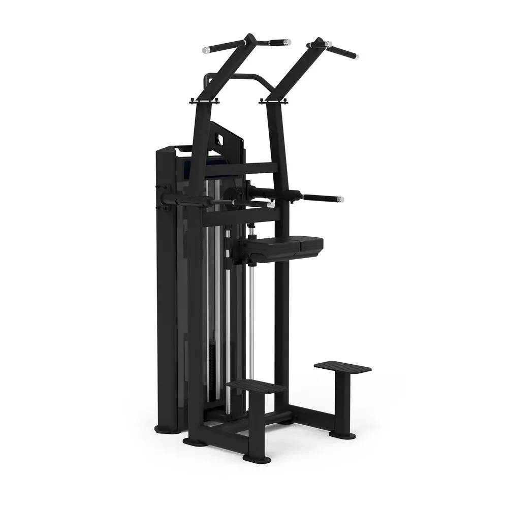 Chin Up / Dip Serie 650 - Diamond Chin Up / Dip Serie 650 - Diamond