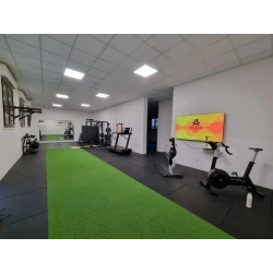 Mattonelle di erba sintetica per palestra - Verde