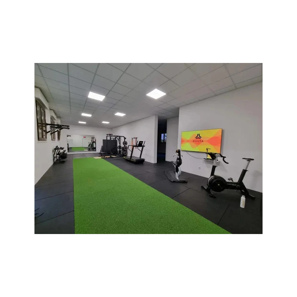 Mattonelle di erba sintetica per palestra - Verde