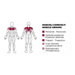 Pectoral Fly / Rear Deltoid PLX-5150 - TOORX VERTICAL