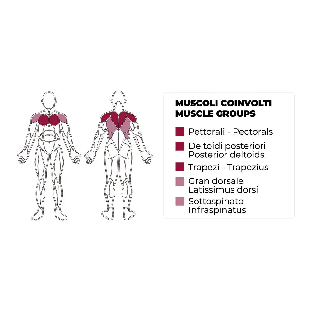Pectoral Fly / Rear Deltoid PLX-5150 - TOORX VERTICAL