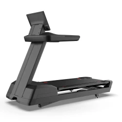 Tapis Roulant Freemotion t24 REFLEX™
