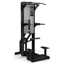 Dip-Chin Assist EPIC ES812 - FREEMOTION