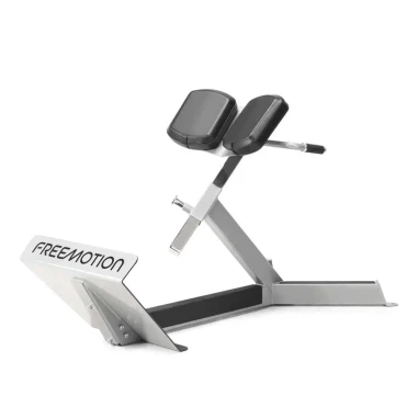 Panca Hyperextension 45° EPIC EF206 - FREEMOTION