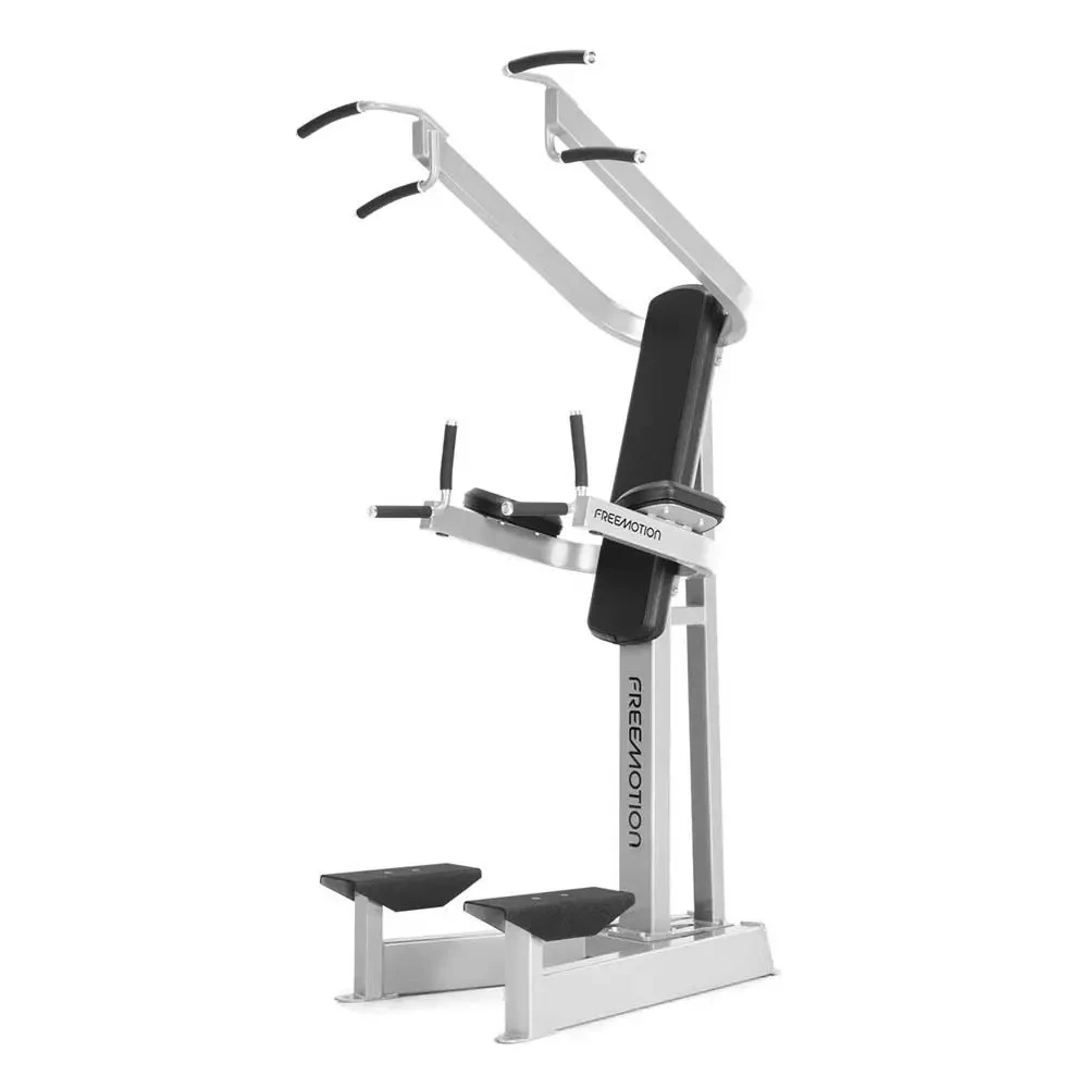 Stazione Dip Chin / Ab EPIC EF207 - FREEMOTION Stazione Dip Chin / Ab EPIC EF207 - FREEMOTION