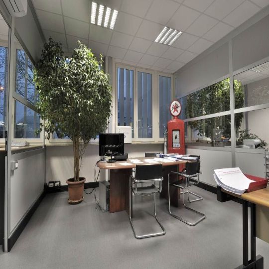Panca ad inversione professionale - Diamond Panca ad inversione professionale - Diamond