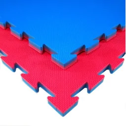 Tatami Eva Modello Aggressive 2 cm