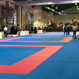 Tatami Usato 2cm da manifestazione