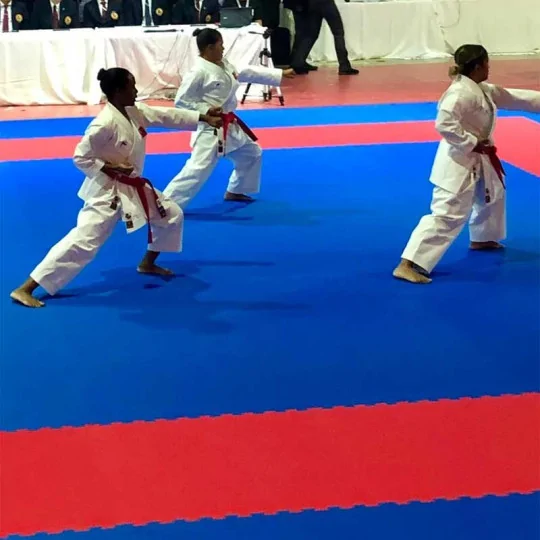 Tatami Usato 2cm da manifestazione