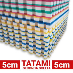 Tatami Arti Marziali Seconda Scelta - 5cm
