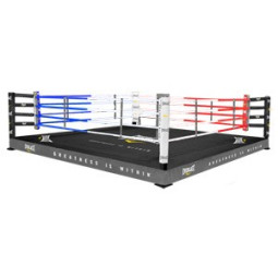 Ring Boxe Everlast Allenamento