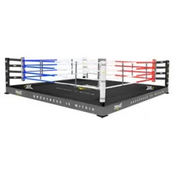 Ring Boxe Everlast Allenamento