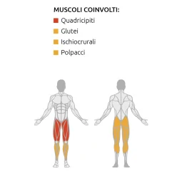 Leg press Inclinata - Esercizi gambe e glutei - Diamond
