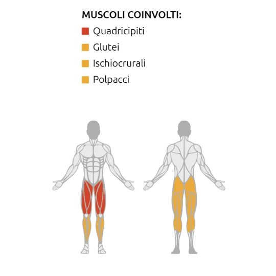 Leg press Inclinata - Esercizi gambe e glutei - Diamond