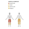 Leg press Inclinata - Esercizi gambe e glutei - Diamond