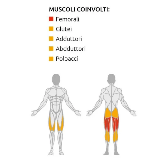 Leg Curl - Esercizi gambe e glutei - Diamond