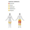 Leg Curl - Esercizi gambe e glutei - Diamond