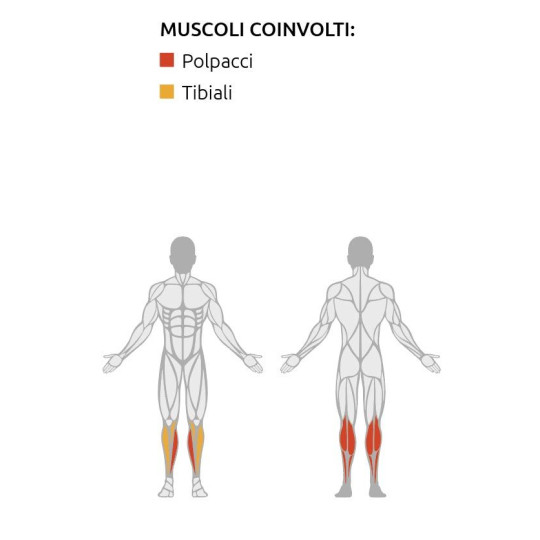 Sitting Calf - Allenamento Polpacci - Diamond