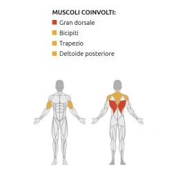 Iso-Lateral Rowing Machine - Diamond