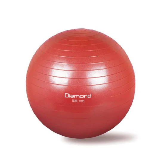 Gym Ball per fitness e pilates