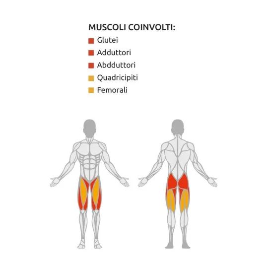 Abductor - Adductor Machine
