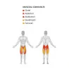 Abductor - Adductor Machine