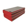 Area Tatami Judo Pieghevole Monocolore - Pleat Up