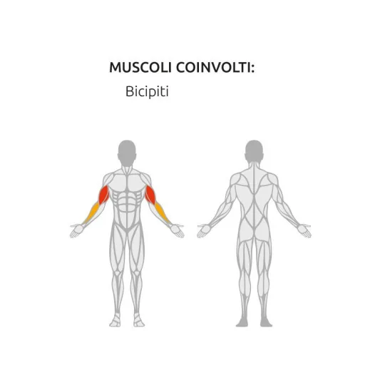 Macchina Bicipiti - Seated Biceps Diamond