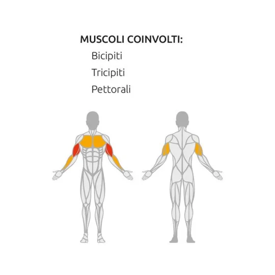 Macchina Tricipiti e pettorali - Seated Dips - Plate Loaded