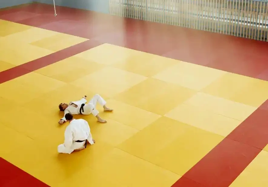 Tatami per Arti Marziali: Guida alla Scelta