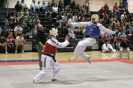 Un calcio in volo, in un incontro di taekwondo